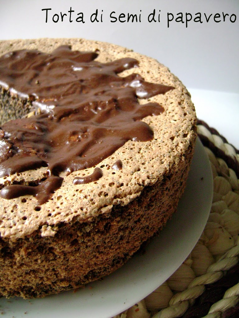 Torta di semi di papavero ed SOS  isole pelagie